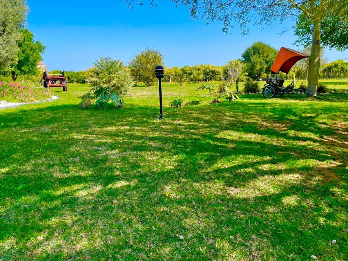 Casa Pepa Con Encanto Ondara Exteriör bild